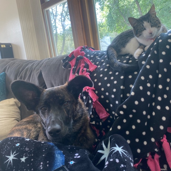 Meet your Posher, Alexis - Picture 5 of 9